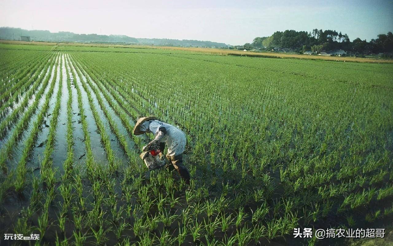 中国耕地面积占世界百分之几(我国的农业水平究竟如何)-图片1